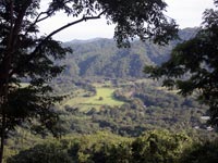 Bosque Verde Reserve